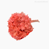Thumb 4 do produto Flor de Hortência Seca Cores Sortidas - Rosa Claro (120158)