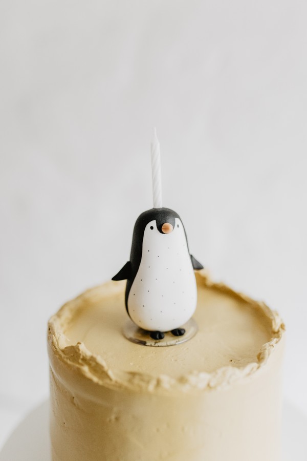 Foto do produto pinguin em biscuit