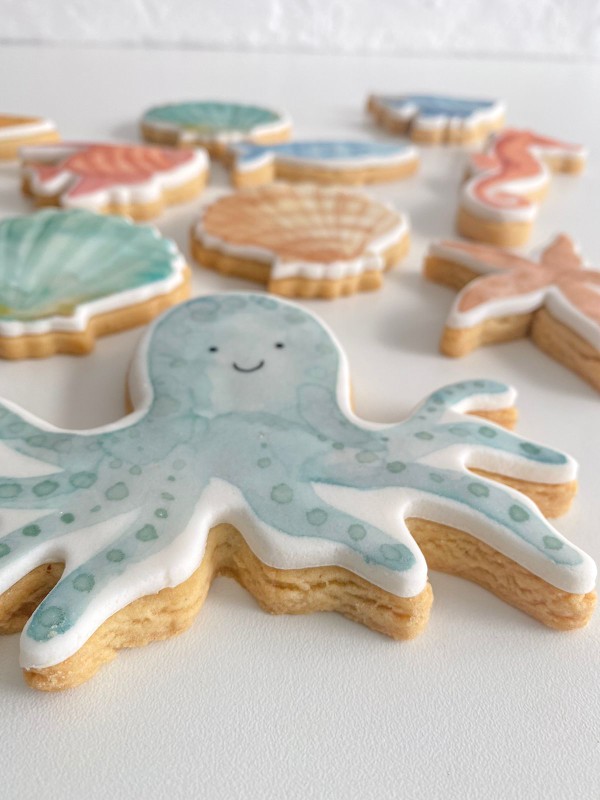 Foto do produto biscoitos - fundo do mar