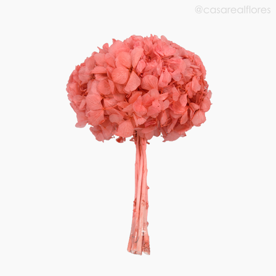 Imagem 1 do produto Flor de Hortência Seca Cores Sortidas - Rosa Claro (120158)