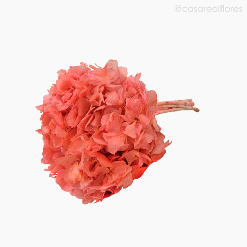 Imagem 4 do produto Flor de Hortência Cores Sortidas Seca - Rosa (120158)
