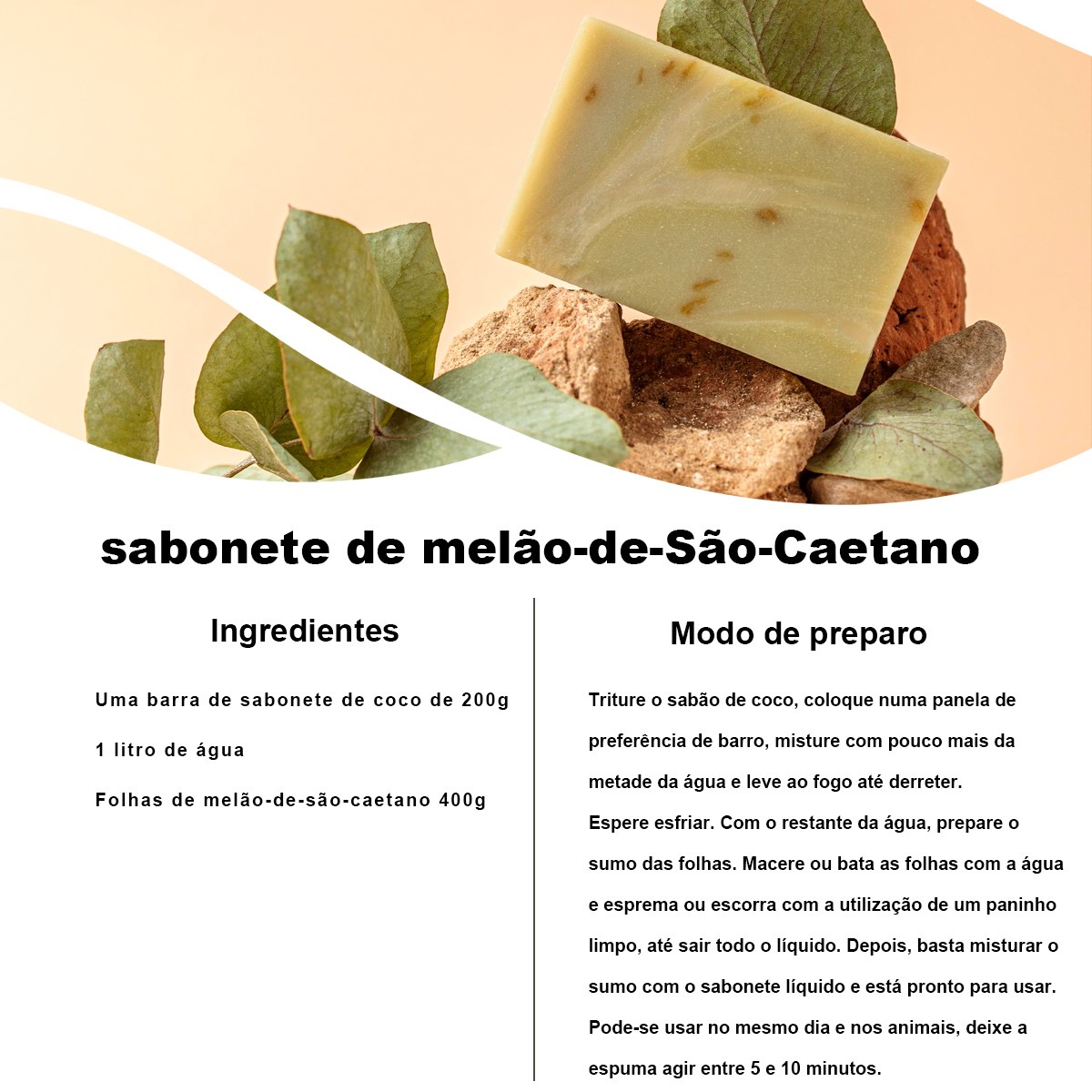 Kit 2 pct Chá de Melão De São Caetano-Momordica Charantia L.