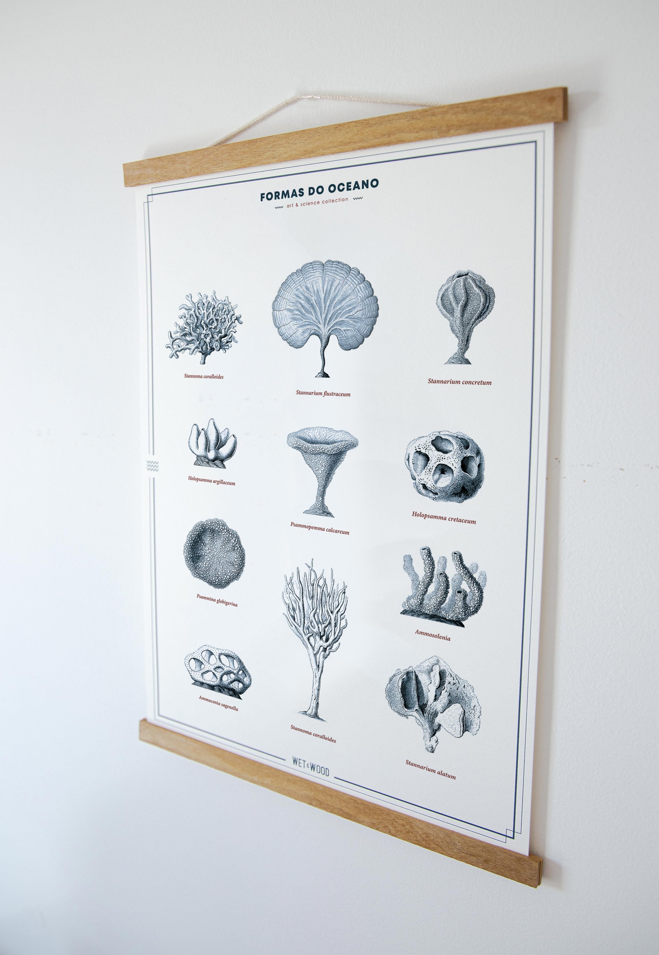 Poster CORAL